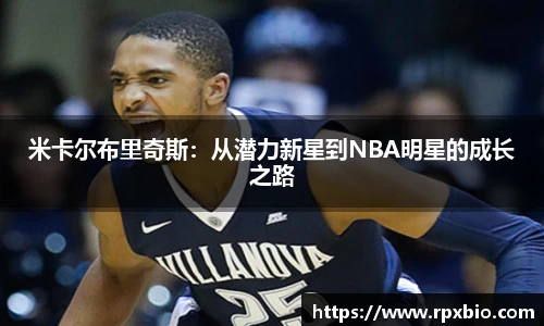 南宫集团平台