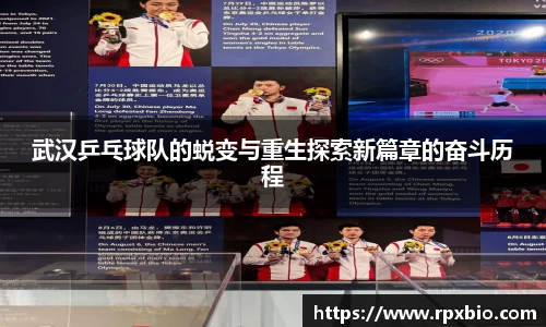 南宫集团官网
