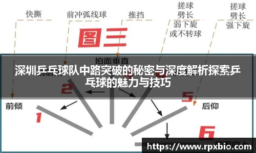 深圳乒乓球队中路突破的秘密与深度解析探索乒乓球的魅力与技巧